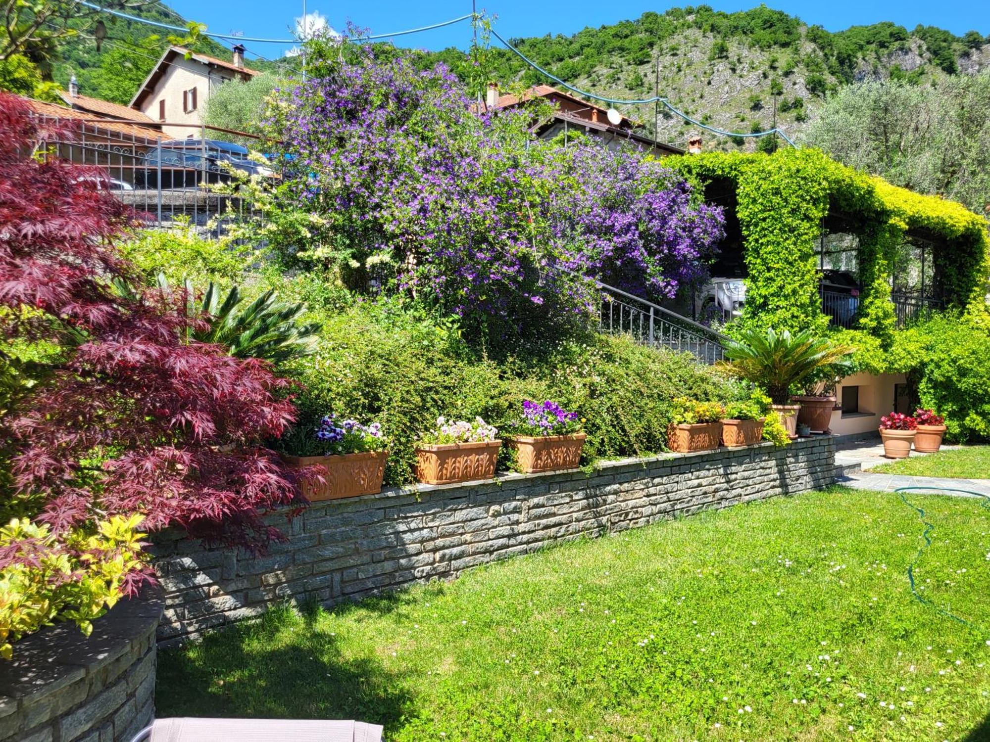 Casa Intignano - Appartamento Con Terrazzo Vista Lago Tremezzo Exterior photo