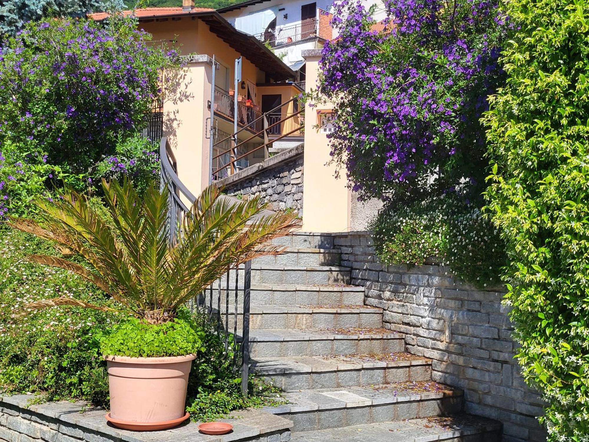 Casa Intignano - Appartamento Con Terrazzo Vista Lago Tremezzo Exterior photo